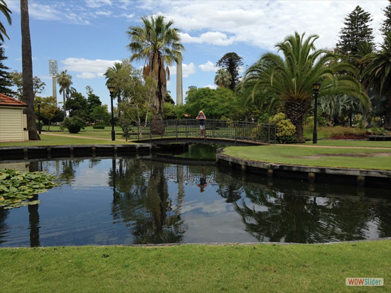 Lovely parks in Perth