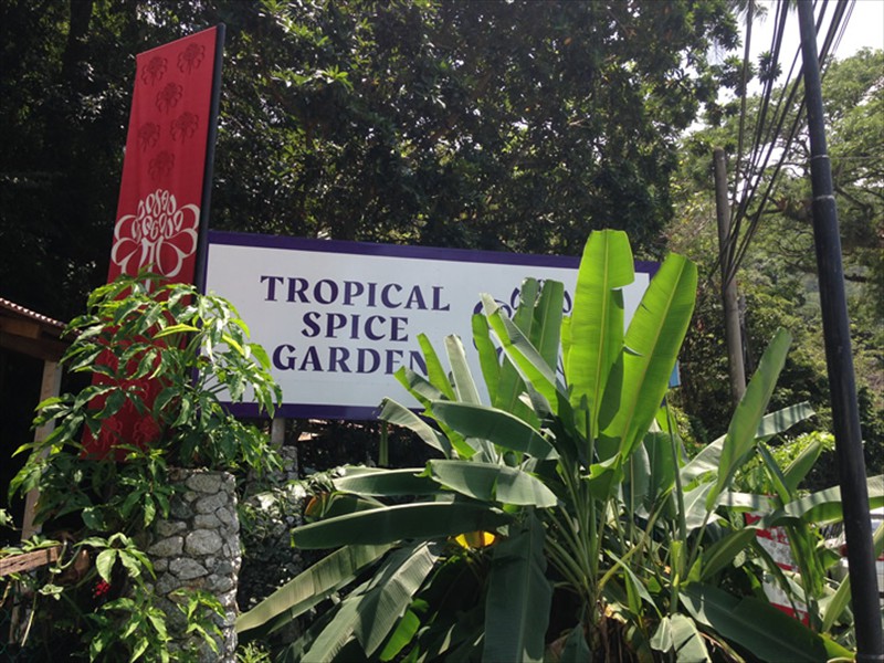 Visit to tropical gardens