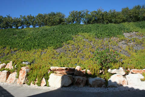Front bank